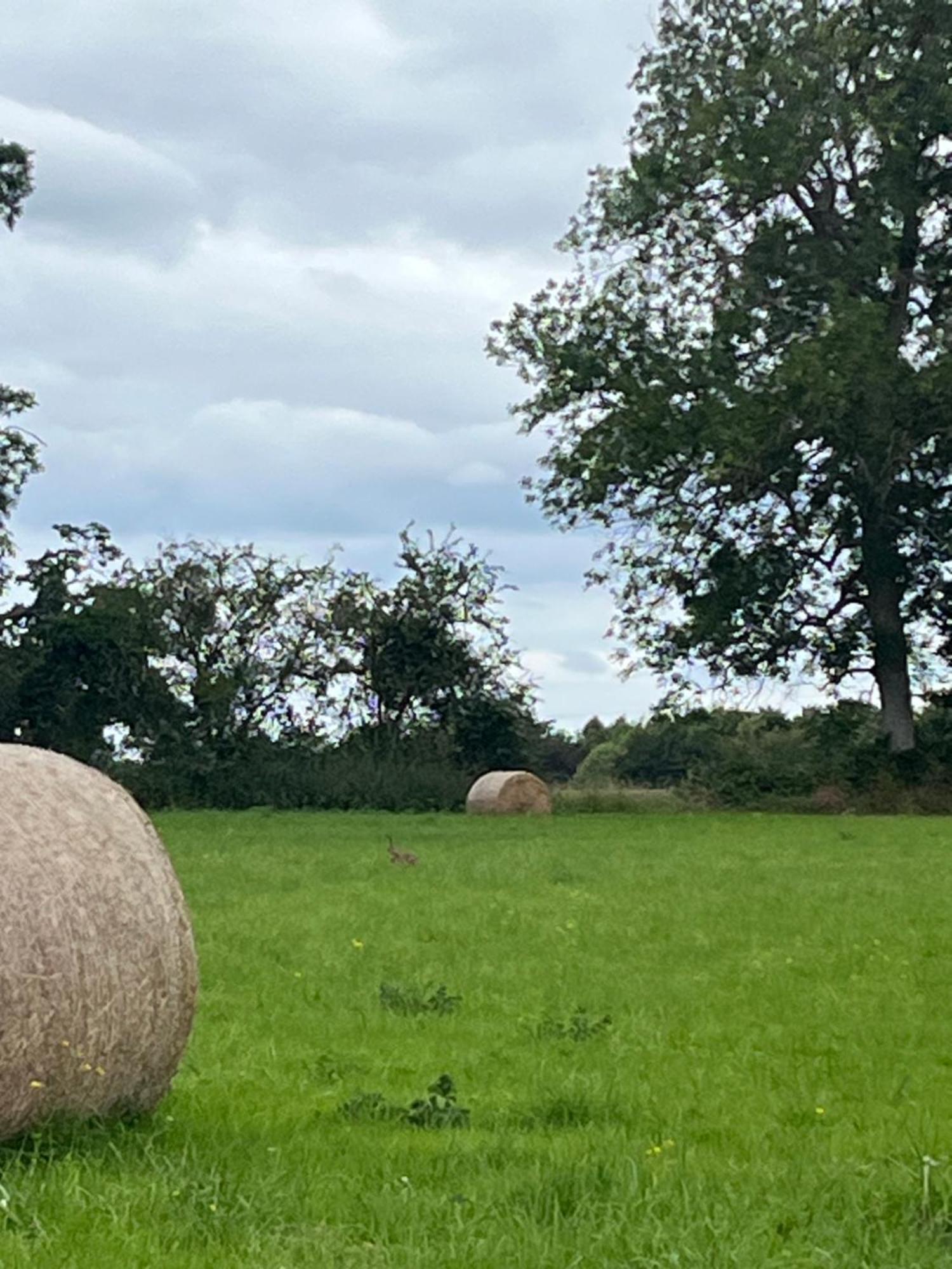 Gite Du Moulin Du Pre Bavent エクステリア 写真